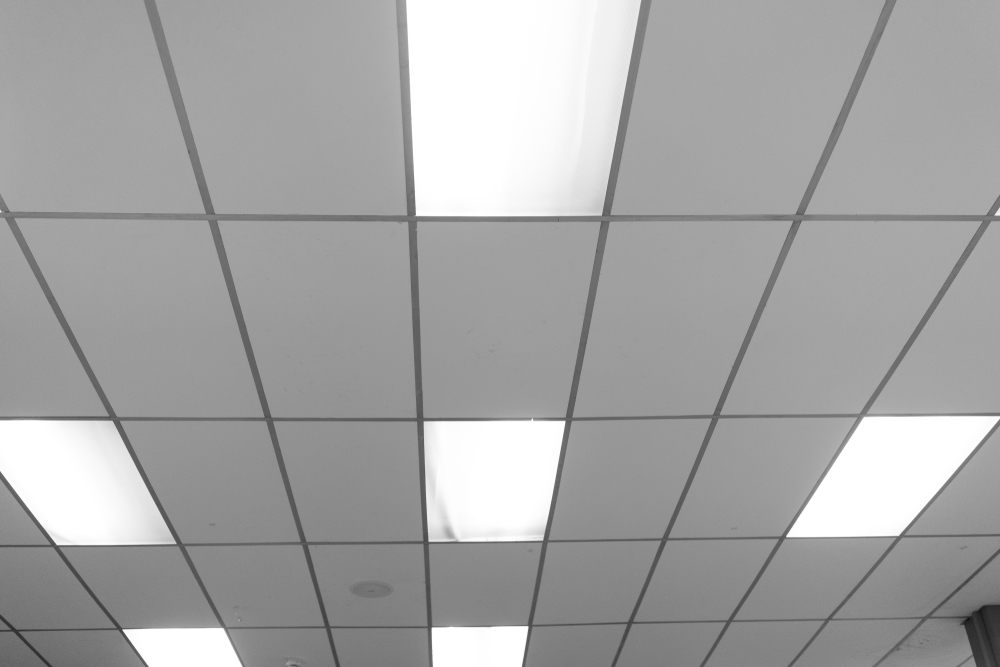 Suspended Ceiling